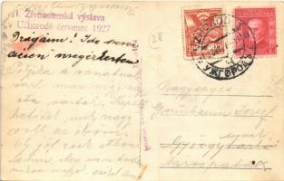 1927 Ungvár, Uzshorod, Uzhhorod, Uzhorod; I. Kereskedelmi Kiállítás megnyitó ünnepsége / I. Zivnoste...