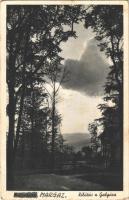 1940 Mátraháza (Gyöngyös), kilátás a Galyára (EK)