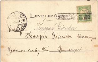 1903 Szliács, Sliac; park + "BESZTERCZEBÁNYA-SZT.-JÁNOS P.U."