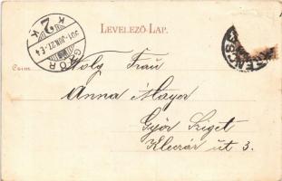 1901 Trencsén, Trencín; Fő tér, G. Zsigmond fia üzlete. Szold Henrik 7775. / main square, shops  (Rb...