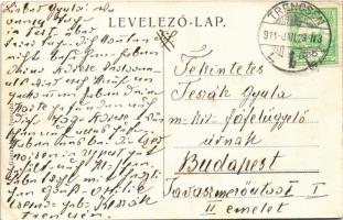 1911 Trencsén, Trencín; vár, Erzsébet szálloda. Gansel Lipót / castle, hotel (EK)