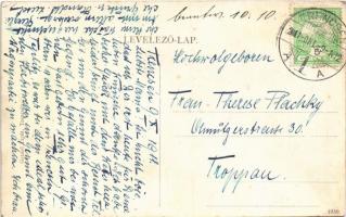 1911 Trencsén, Trencín; utca, tér, Blaschke E. és Köves üzlete, várostorony / street, square, shops,...