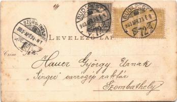 1903 Budapest VI. Jahn Ede vendéglője, étterem, Terézvárosi Pilseni Sörcsarnok, Bucher Károly üzlete...