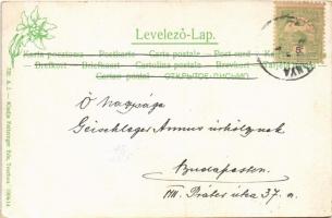 1904 Gölnicbánya, Gelnica; bányaváros, Fő tér, városháza, templom, Toffler J. üzlete. Feitzinger Ede...