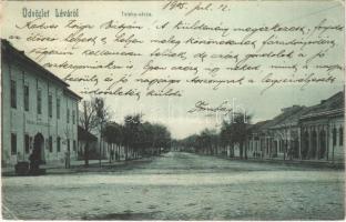 1905 Léva, Levice; Teleky utca, Fogadó az oroszlánhoz, cukrászda, Nemzeti Kávéház. Schulcz Ignác / street, restaurant, confectionery, cafe (EK)