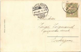 1905 Léva, Levice; Teleky utca, Fogadó az oroszlánhoz, cukrászda, Nemzeti Kávéház. Schulcz Ignác / s...