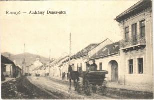 Rozsnyó, Roznava; Andrássy Dénes utca, lovashintó, Lenkey Ferenc üzlete / street, horse chariot, shop