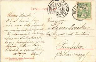 1907 Selmecbánya, Schemnitz, Banská Stiavnica; Látkép a paradicsom-heggyel. Grohmann kiadása 472. / ...