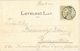 1902 Selmecbánya, Schemnitz, Banská Stiavnica; Deák Ferenc utca, Steiner Bernát és Marschalko Gyula ...