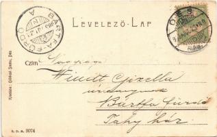 1905 Dés, Dej; törvényház, Rákóczy ház, Szolnok-Doboka vármegye Nemzeti színháza. Gálócsi Samu kiadá...