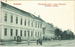 Karánsebes, Caransebes; Törvényszéki palota / Casa Tribunalului / court palace