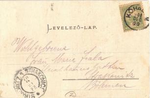 1901 Kőhalom, Reps, Rupea; Fő tér és vár. Johanna Gunesch / castle and main square (r)