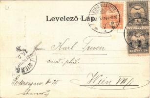 1903 Marosvásárhely, Targu Mures; M. kir. igazságügyi palota. Révész Béla kiadása / financial palace