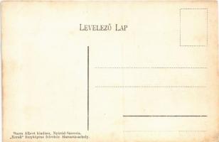 Nyárádszereda, Nyárád-Szereda, Miercurea Nirajului; járásbíróság és környéke, utca. Barra Albert kia...