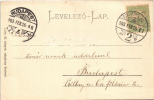 1903 Szatmárnémeti, Szatmár, Satu Mare; Kir. törvényszéki palota. Lövy M. kiadása / court palace