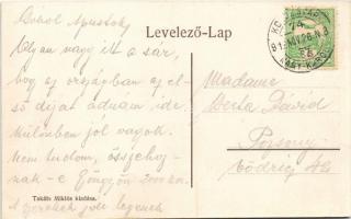 1912 Zilah, Zalau; Turul park, törvényszék. Takáts Miklós kiadása / park, court