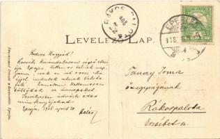 1908 Eperjes, Presov; Kir. törvényszék, Cattarino Sándor, Klein H., Frankel Józs. és Schwarcz üzlete...