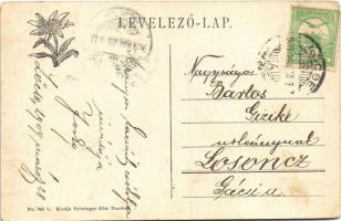 1909 Lőcse, Levoca; Kir. törvényszéki palota, felső leányiskola. Feitzinger Ede No. 945 I. / court p...