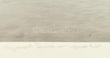 cca 1900 Nagyvárad környéke, vasúti híd, kartonra ragasztott, feliratozott fotó, 23×30 cm