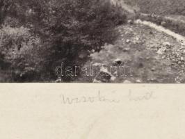 cca 1900 Uzsoki híd, Ukrajna, kartonra ragasztott, feliratozott fotó, 23×30 cm