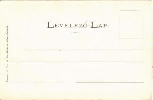 Selmecbánya, Schemnitz, Banská Stiavnica; Deák Ferenc utca, Steiner Bernát és Marschalko Gyula üzlet...