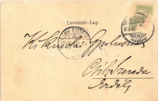 1904 Nagybecskerek, Zrenjanin, Veliki Beckerek; Hunyady utca, piac, Huber Gusztáv üzlete, templom / ...