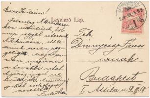 1909 Nagybecskerek, Zrenjanin, Veliki Beckerek; Rózsa szálloda (Tulajdonos Kovács József), belső / h...