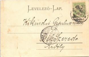 1904 Nagykikinda, Kikinda; Városi szálloda, lovas hintók /  hotel, horse chariots