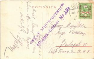 1916 Eszék, Essegg, Osijek; Téli kikötő MKÁ Dráva kotró uszály, halászhajók. W.L. (?) 631. / Zimska ...