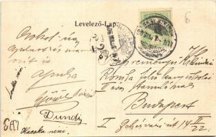 1906 Nagykikinda, Kikinda; Koronaherceg utcai sétány, szálloda / street promenade, hotel (EK)