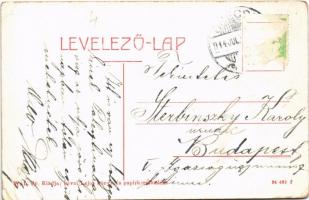 1914 Óbecse, Stari Becej; Vissy Károly kir. közjegyző lakóháza. W.L. Bp. Lévai Lajos kiadása / house...