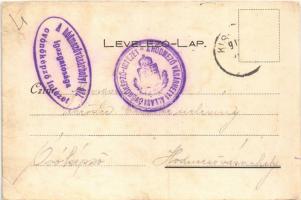 1910 Kisjenő, Chisineu-Cris; Fő tér, Kaufmann Manó és társa üzlete és kiadása / main square, shop (r...