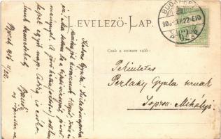 1906 Budapest I. Vérmező, Ferenc József császár látogatása, önkéntes század / Franz Joseph visiting,...