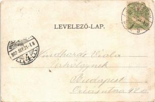 1902 Pozsony, Pressburg, Bratislava; Második Mezőgazdasági kiállítás, erdészeti és vadászati pavilon...