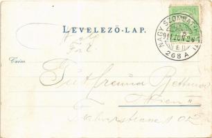 1911 Szomolány, Smolenice; vár. Back Gábor kiadása Nádason / hrad / castle. Skrovanek, Schreiber chm...