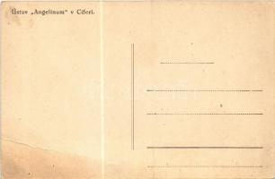 Cífer, Czifer, Biksárd; Ústav Angelinum / Zichy Antal gróf kastélya / castle (fa)