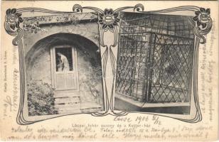 1906 Lőcse, Levoca; Lőcsei fehér asszony és a Ketter ház (szégyenketrec). Rosenbach S. kiadása / Julianna Géczy and the cage of shame. Art Nouveau