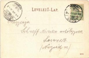 1906 Lőcse, Levoca; Lőcsei fehér asszony és a Ketter ház (szégyenketrec). Rosenbach S. kiadása / Jul...