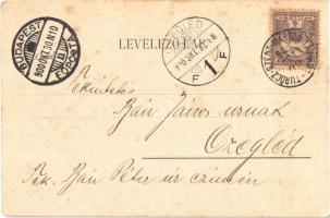 1900 Necpál, Necpaly (Túrócszentmárton, Martin); Lahner emlék. Moskóczi Ferenczné tulajdona / monume...