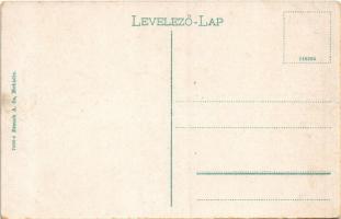 Mehádia, Fő utca, Brauch A. fia üzlete és saját kiadása / A. Brauch's Sohn / main street, shop