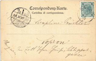 1901 Grado, Ville Barone Bianchi