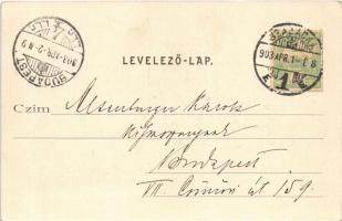 1903 Szabadka, Subotica; városháza, Terézia nagytemplom. Heumann Mór kiadása / town hall, church. Ar...