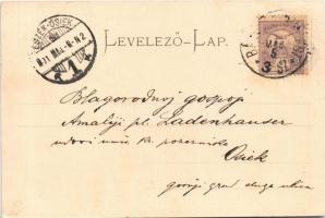 1901 Fehértemplom, Ung. Weisskirchen, Bela Crkva;  (EK)