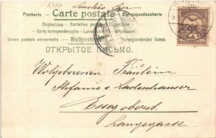 1901 Stretna Nova godina / Újévi üdvözlet malacokkal / New Year greeting with pigs. Art Nouveau, lit...