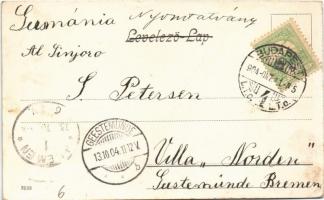 1904 Budapest IX. Közvágóhíd, "A vágóhídon keresztül a vásártérre bejárni tilos" tábla / S...