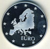 Bulgária 1999. 10L Ag "Theodor Burmov-Euro" T:PP