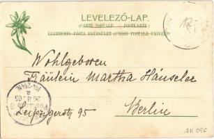 1905 Fenyőháza, Lubochna; Villa Jaiser. Feitzinger Ede 1904-14. 658. Ps. (Rb)