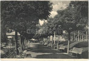 1919 Herkulesfürdő, Herkulesbad, Baile Herculane; park
