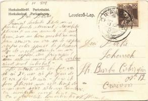 1919 Herkulesfürdő, Herkulesbad, Baile Herculane; park