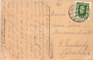 1925 Ungvár, Uzshorod, Uzhhorod, Uzhorod; Korona szálloda, utca, fodrász, Niederman üzlete / hotel, ...